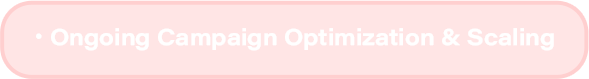 Ongoing Campaign Optimization and Scaling